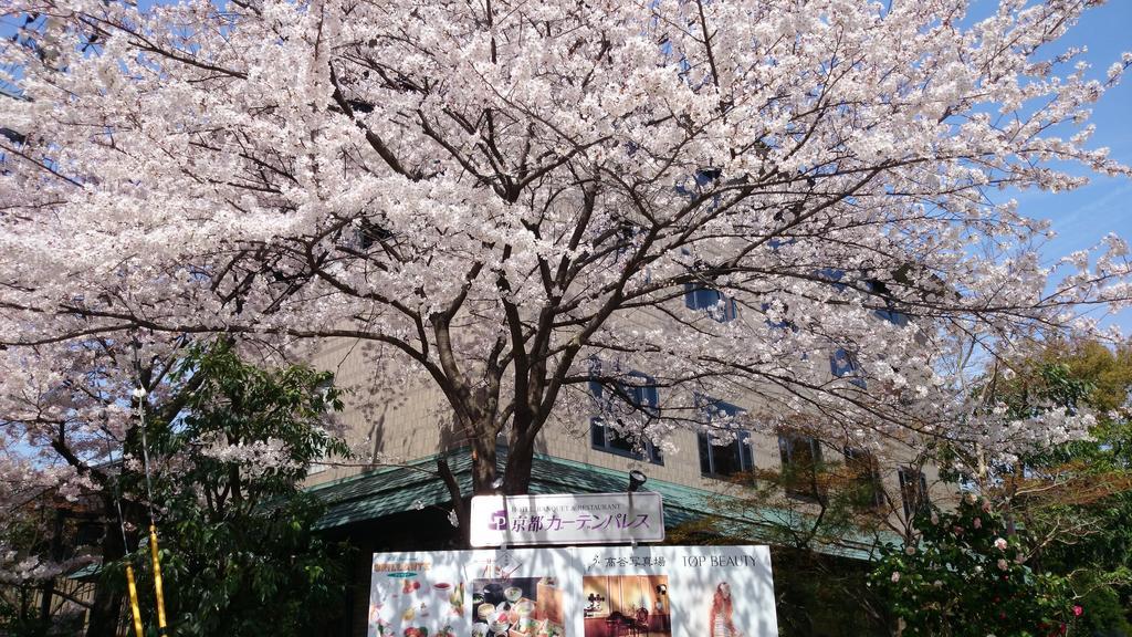 Kyoto Garden Palace מראה חיצוני תמונה