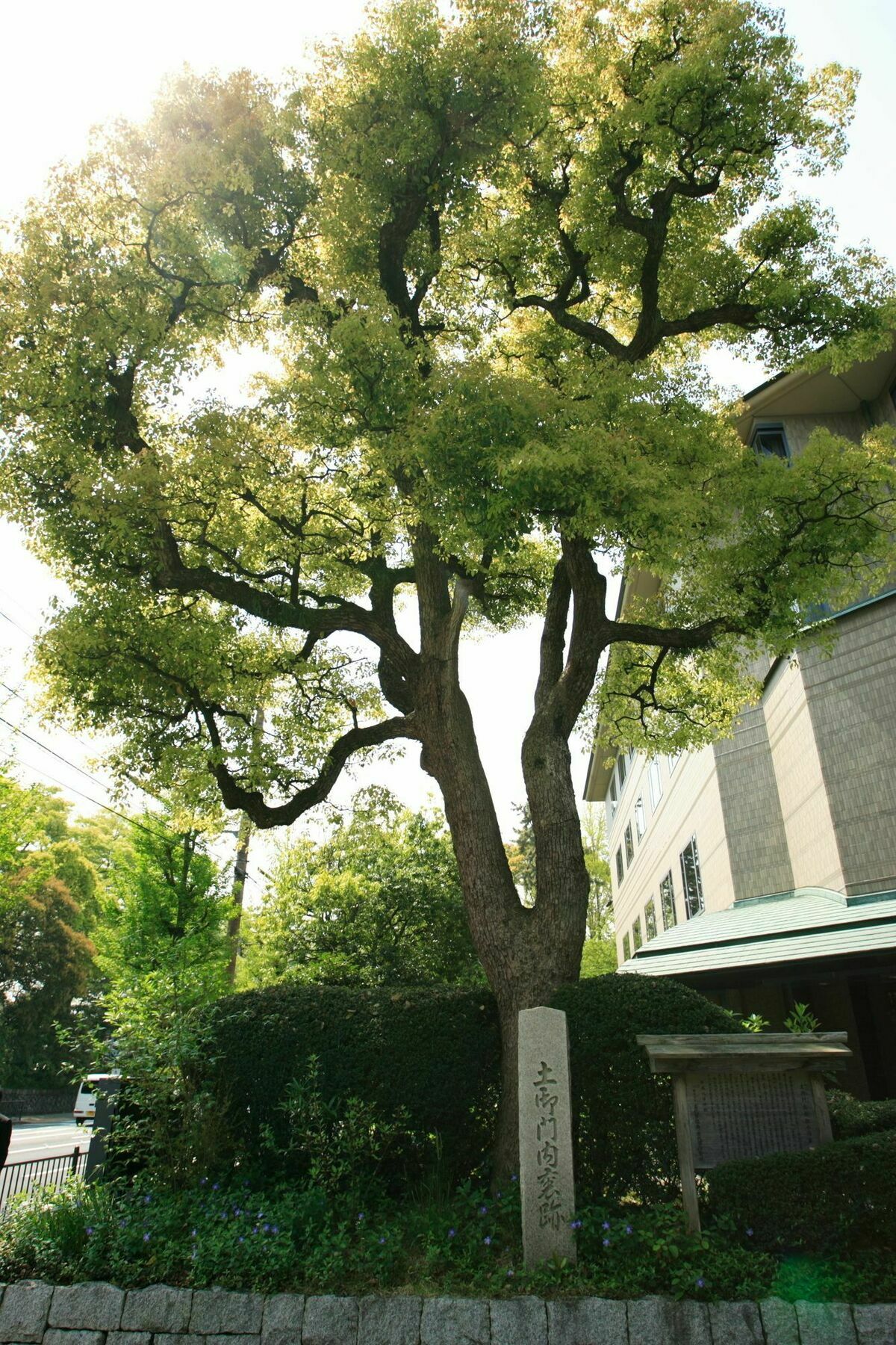 Kyoto Garden Palace מראה חיצוני תמונה