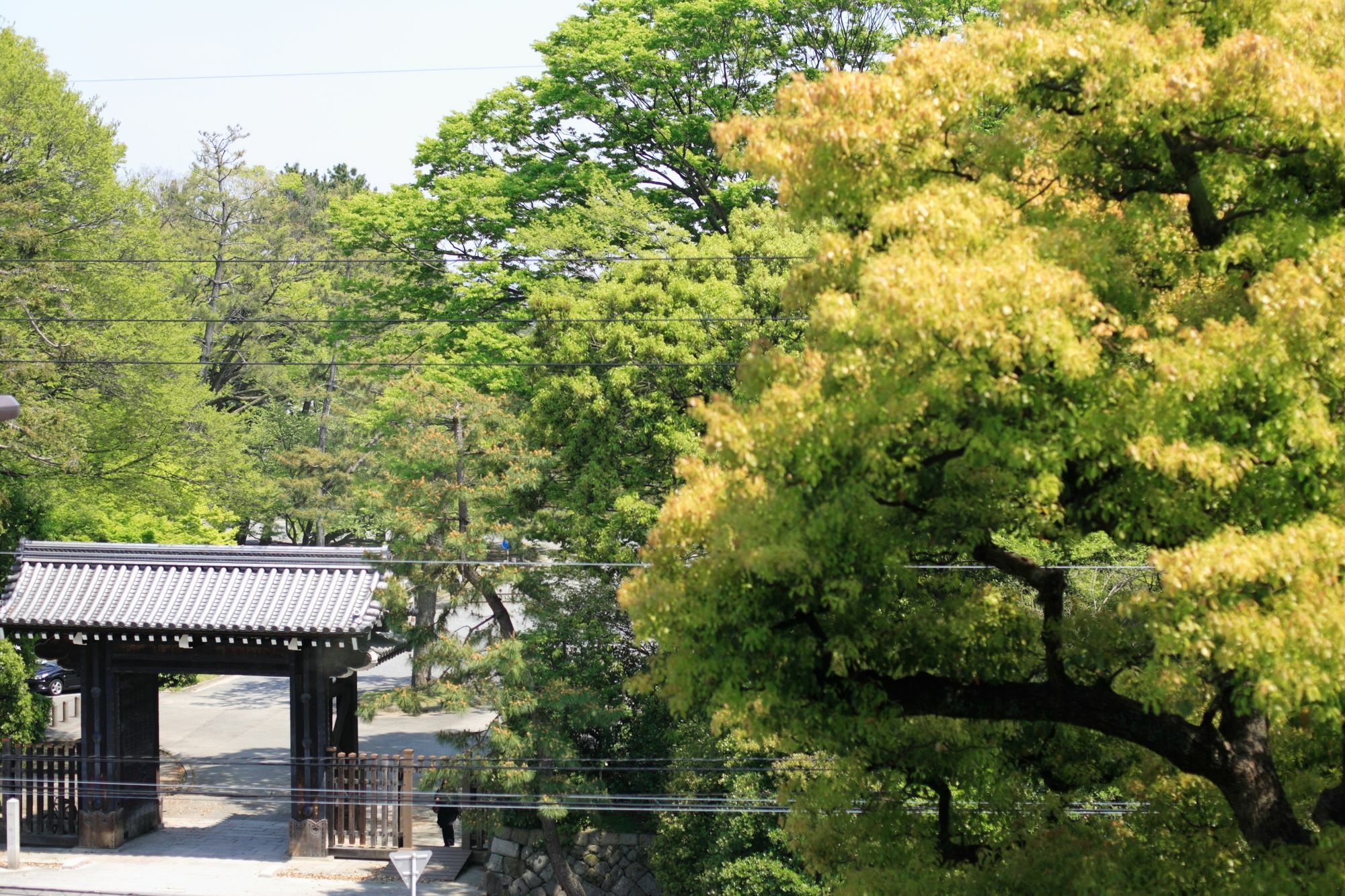 Kyoto Garden Palace מראה חיצוני תמונה